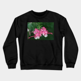 Grevillea ice cream Crewneck Sweatshirt